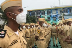 Sekolah Kedinasan Pelayaran STIP 2025 Resmi Dibuka, Buruan Cek Jadwal dan Syaratnya