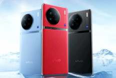 Vivo X100 dan X100 Pro Resmi Meluncur Ke Pasar Indonesia, Cek Harga dan Spesifikasinya