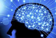 Dimensi Islam Spiritual dan Intelektual: Mengharmonikan Akal, Kalbu, dan Wahyu