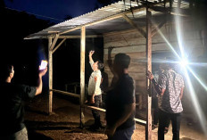 Pondok Diduga Tempat Pesta Sabu di Musi Rawas, Anggota Satres Narkoba Polres Musi Rawas Buru Pelaku