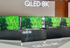 QLED 8K Smart TV Hanya di Samsung dan LG ini Saja, Hasil Realistis dengan Google Assistent