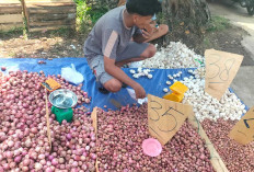 Bawang Merah dan Putih Dijual Murah di Lubuk Linggau Timur