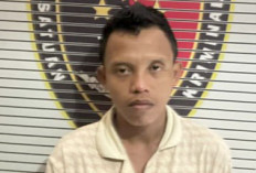 IRT di Lubuk Linggau Nekat Peluk Pencuri yang Masuk Rumahnya, Berujung Digigit dan Dipukul oleh Pelaku 