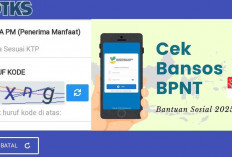 Segera cekbansos.kemensos.go.id ataau Aplikasi Cek Bansos, Siap-Siap Menerima BLT BBM 