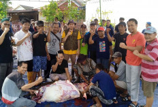 Idul Adha 1446 H, Masjid Barokah Kelurahan Margamulya Lubuklinggau Sembelih 7 Sapi, 6 Kambing