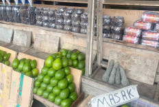 Pedagang Buah di Sekitar Stasiun Kereta Api Lubuk Linggau Sehari Bisa Jual 50 Kilogram Alpukat