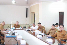 Muba Siap Dukung Program Lisdes, Listrik Pedesaan Jadi Prioritas