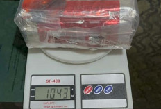 Pengedar Sabu asal Kabupaten Mura Ditangkap di Muratara, Bawa Sabu 1 Kilogram 