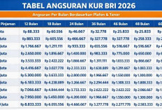 Cicilan KUR BRI 2026 Rp100 Juta Ternyata Ringan, Simak Tabel Angsuran dan Cara Pengajuannya
