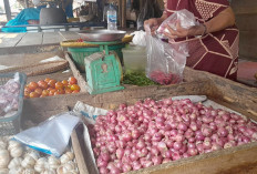 Stok Barang Melimpah Harga Bawang Merah di Lubuk Linggau Turun Drastis