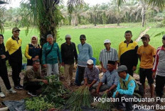 PPL Sarankan Petani Gunakan Pesnab, Karena Dapat Menghemat Pengeluaran