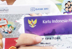 Bantuan PIP Cair Oktober 2024 ini, Cukup Lakukan Cek dengan HP Saja 