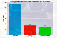 Pengadilan Agama Lubuk Linggau Mencatat 292 Kasus Dispensasi Pernikahan, Cerai Mencapai 1.488 Perkara 