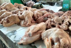 Harga Daging Ayam di Musi Rawas Masih Tinggi Pasca Lebaran