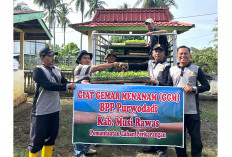 Dorong Kemandirian Pangan, Warga Sadar Karya Purwodadi Musi Rawas Gelar Program Giat Gemar Menanam 