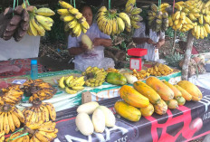 Buah Belewa Jadi Primadona Takjil Ramadan