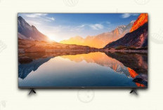 Xiaomi TV A 43 FHD 2025 Harga Terjangkau, Memberikan Kualitas Visual yang Kaya dan Hidup 