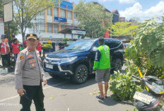 Niatnya Ngadem Dibawah Pohon Driver Ojol Ini Tewas Tertimpa Pohon 