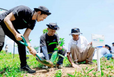 Pulihkan Hutan Bekas Tambang, Aksi Nyata Kelompok Tani Selamatkan Lingkungan Bersama BRI Menanam-Grow & Green