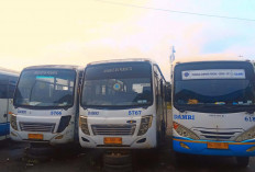 Maret Bus Damri Kembali Beroperasi, Ini Penjelasan Kepala Pengawas Terminal