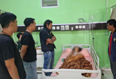 Juru Parkir di Lubuk Linggau Ditusuk Teman Sendiri, Ini Penyebabnya. Pelaku Masih Diburu