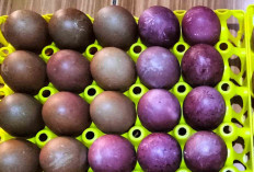 Telur Asin Rempah Inovasi Sehat Racikan dari Dapur Rumahan
