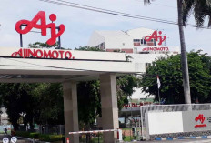 Kurangi Emisi Karbon, Pabrik Ajinomoto Gunakan Listrik Bersih PLN dengan 219 Ribu Unit REC Per Tahun