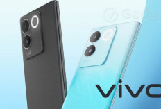 Top 5 Handphone Vivo Terbaik dan Terbaru 2024 yang Telah Resmi Rilis di Indonesia