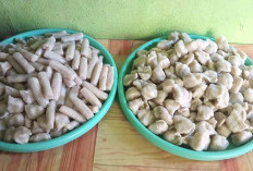 Rasakan Kelezatan Pempek Umi Hakim, Destinasi Kuliner Wajib di Lubuk Linggau