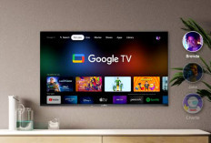 Top 5 Rekomendasi Google TV Terbaik 2024 dengan Layar Besar dan Gambar Jernih