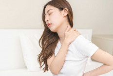 Sering Pegal Diseluruh Tubuh, Ini Penyebab dan Cara Mengatasinya