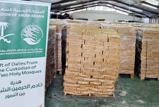 Menag Yaqut  : Dapat  Amanah, Indonesia dapat Hadiah Kurma dari Arab Saudi 100 Ton