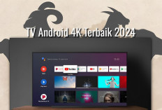 8 Rekomendasi TV Android 4K Terbaik 2024, Bisa untuk Hari Raya Idul Adha