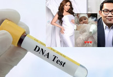 Tes DNA Bikin Geger! Ridwan Kamil Resmi Bukan Ayah Anak Lisa Mariana