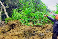 Jalan Curup Lubuklinggau Tak Bisa Dilalui Dulu, Longsor di Desa Taba Padang Binduriang Rejang Lebong