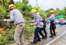 Gubernur Sumbar Apresiasi Kerja PLN Pulihkan Listrik Pascabencana