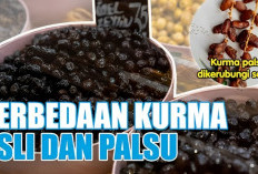 Oh, Ternyata Begini Perbedaannya Kurma Asli dan Kurma Palsu Kamu Wajib Tahu, Jangan Sampai Tertipu!