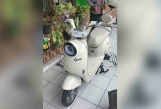 Sepeda Listrik Goda GD 001 Lemon Nyaman untuk Aktivitas Harian