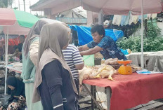 H-10 Hari Raya Idul Adha, Harga Bahan Pokok Terpantau Stabil