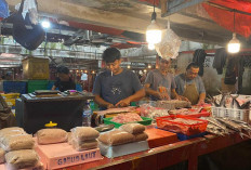 Ikan Giling Jadi Andalan Persiapan Idul Fitri, Praktis Disimpan dan Siap Diolah Jadi Beragam Menu