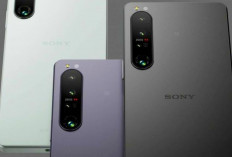 6 Rekomendasi Hp Sony Xperia Terbaik 2024, Tampil dengan Desain yang Lebih Elegan dan Performa Jempolan