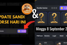 Sandi Harian dan Combo Harian Hamster Kombat Hari Ini Minggu 8 September 2024