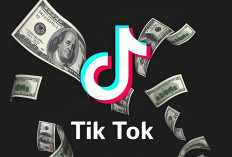 Berapa Sih Followers Tiktok Agar dapat Uang? Ini Syarat dan Panduan Lengkapnya