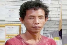 Pembunuh Ibu dan Anak di Palembang Ditangkap, Polisi Ungkap Fakta Terbaru