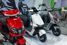 Pasar Motor Listrik Indonesia Mulai Bangkit Meski Tanpa Subsidi
