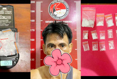 Roma Irama Asal Batu Gajah Rupit Muratara Dibekuk Satresnarkoba Polres Muratara