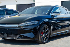 Harga Mobil Listrik 2025 Mulai Naik Tapi Makin Moncer ini Daftarnya, 30 Merek Laris Manis di Indonesia 