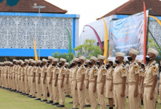 Kemenhub Umumkan 791 Formasi Sipencatar Polbit 2025, Cek Daftar Lengkap Sekolah Kedinasannya