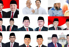 11 Daftar Kepala Daerah Terpilih di Bengkulu pada Pilkada 2024, Catat Jadwal Pelantikan Diumumkan