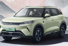 BYD Atto 2 Guncang Indonesia, SUV Listrik Rp300 Jutaan dengan Desain Garang dan Performa Menantang